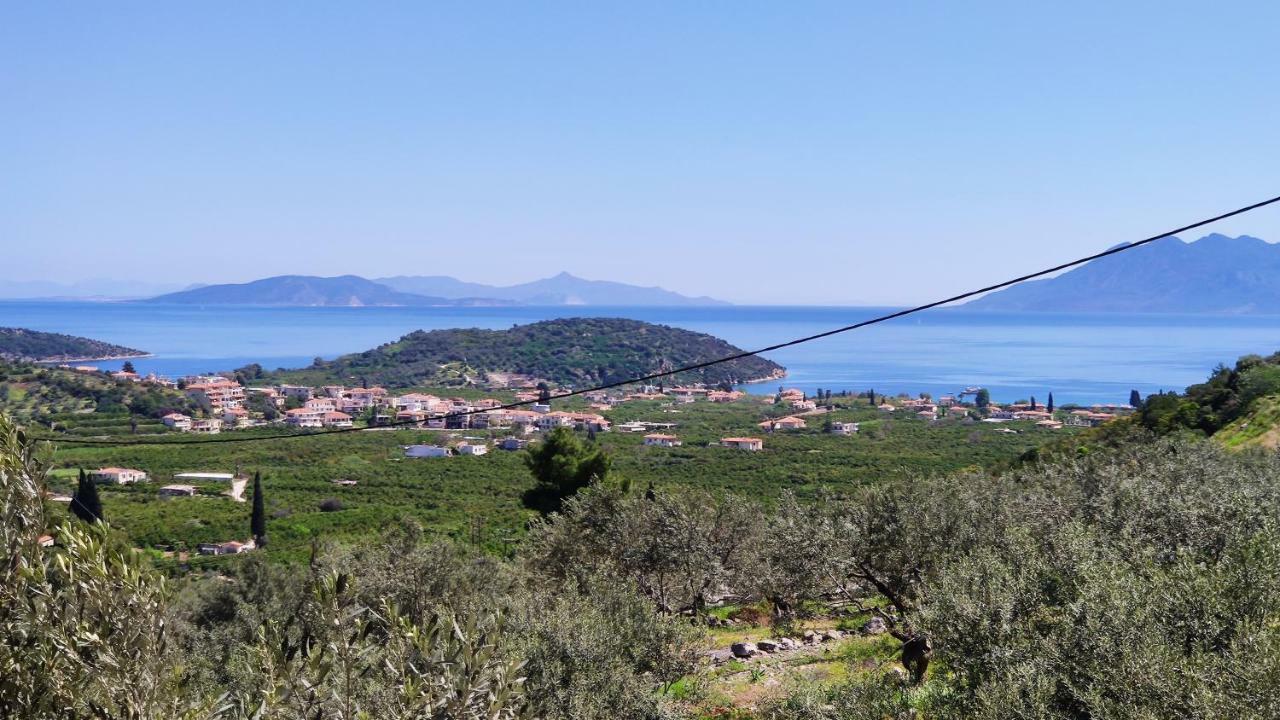 فيلا Aricobe Epidaurus المظهر الخارجي الصورة